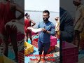 उजनी धरणाची श्रीमंती म्हणजे उजनीतील चिलापी रोहू व इतर प्रकारचे मासे.. viral shorts fishing fish