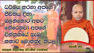 ධර්මය හරහා අපගේ ජීවිතය දිහා බලනකොට ..1259Ven Hasalaka Seelawimala Thero