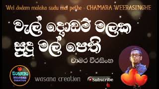 වැල් දොඩම් මලක සුදු මල් පෙති.wel dodam malaka sudu mal pethi,චාමර වීරසිංහ