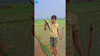 Unbelievable Bamboo Crossbow Fishing Technique 😱 Drean Fishing Video । (part -19) #short #shorts