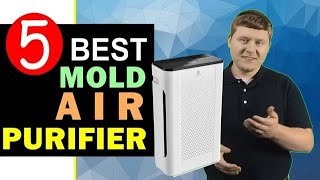 Best Air Purifier for Mold 2023-2024 🏆 Top 5 Best Mold Air Purifier Reviews