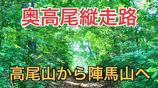 奥高尾縦走路を歩く! 高尾山から陣馬山へ