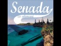 senada 2014