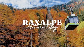 Zauberhafter Herbst auf der Raxalpe (Herbst Vlog)