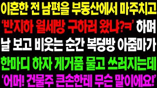 (실화사연) 이혼한 전 남편을 부동산에서 마주치고 '반지하 월세방 구하러 왔냐?ㅋ' 하며 비웃는 순간 복덕방 아줌마가 한마디 하자 쓰러지는데ㅋ/ 사이다 사연,  감동사연, 톡톡사연