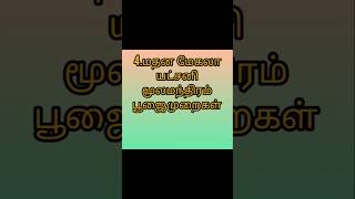 மதன மேகலா யட்சனி #யட்சினிஉபாசனை #உபவாசஜெபம் #அஞ்சனம்