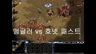 [korea RTS]아트록스:atrox  빅브레인 vs 동전 3 인 크 [starcraft clone]multiplayer gameplay