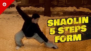 Shaolin Five Steps 五步拳 | FIRST FORM You Should Learn | Shaolin Kung Fu Basics