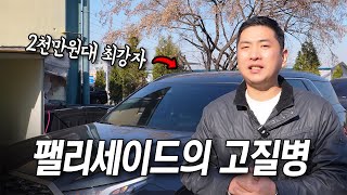 팰리세이드 사도 될까? 솔직히 저는..