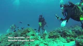 沖縄 慶良間諸島\u0026糸満 ダイビング / OKINAWA SCUBA DIVING