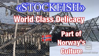 WHAT IS STOCKFISH | ORGANIC | NO PRESERVATIVES | NATURE POWER FERMENTATION