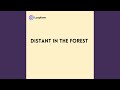 Distant in the Forest