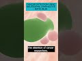 Uncover the Neutrophil Lymphocyte Ratio (NLR) in cancer detection and care #NLR #CancerResearch