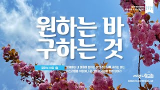 [씨앗나눔교회 주일말씀] 원하는 바 구하는 것. 로마서 10:1