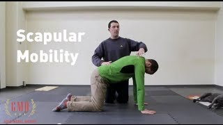 Shoulder Stretch and Scapular Mobility Tutorial