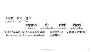 Job 5: Hebrew interlinear audio Bible 希伯來文聖經:約伯記五章