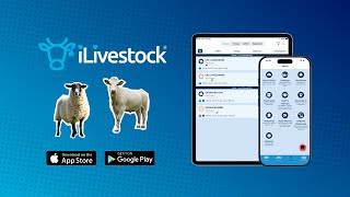 iLivestock – The All-in-One Livestock Management Platform