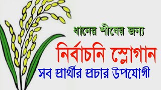 ধানের শীষের নির্বাচনি স্লোগান//New Nirbaconi Slowgan For Dhaner sis//