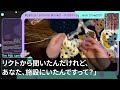 【スカッとする話】訳あって私だけ施設で育った私。兄が挨拶に連れてきた婚約者「他人でしょ？ｗ結婚式には呼びませんｗ」と宣言→当日、ドレス姿の婚約者が血相変えて迎えにきた…私「他人が何の用？」→実は