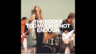 The kooks (Sweden) - Too much of nothing