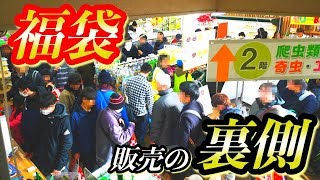 関東最大級の昆虫ショップの福袋販売の裏側が慌ただしすぎた！