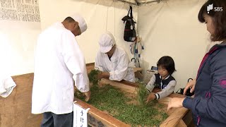 「生産者が丁寧につくっているのを感じられる」静岡市で駿府本山秋のお茶まつり開催