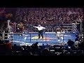 Mike Tyson vs Julius Francis - Full Fight - 1-29-2000