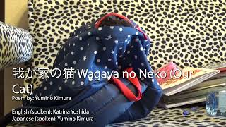 我が家の猫 Wagaya no Neko (Our Cat) - Poems in Japanese and English