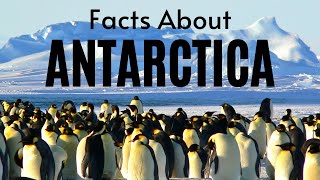 Antarctica: Cool Facts About Antarctica-Things You Didn't Know About Antarctica