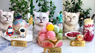 【シェフズキャット】ザクロドリンク グリーンゼリーキャットは動物であるだけでなく、友達でもあります