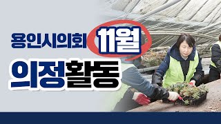 2024 11월 의정활동