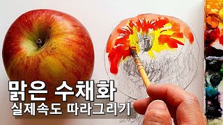 맑은 수채화로 사과 따라그리기