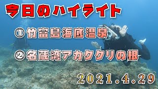 2021年4月29日のダイビングハイライト【石垣島】温泉でホッコリ〜