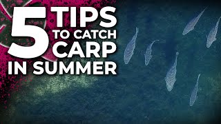 5 SUMMER CARP FISHING TIPS THAT YOU NEED TO KNOW! ☀️