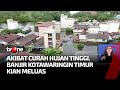 Hujan Lebat Guyur Kotawaringin Timur, Banjir kian Tinggi dan Meluas | Kabar Pagi tvOne