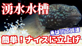 【アクアリウム/一番簡単な湧水水槽の立上げ方】コリドラス用の湧水水槽が→面白すぎる魚ヌマチチブを捕獲して飼育→とっても可愛いペットなった/湧き水水槽の立ち上げ方+川魚飼育/かわいいハゼ水槽