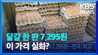 경남 달걀 한 판 가격 7,295원…전국 ‘최고’ / KBS  2022.04.26.