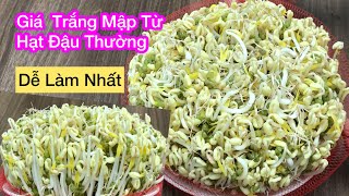 Cách Làm Giá Bằng Túi Lưới Rất Đơn Giản Từ Hạt Đậu Xanh Thường Ai Cũng Làm Được