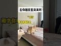 洗澡时以为的自己 有趣 故事 貓 猫猫meme小剧场 猫meme 内容过于真实 猫meme小剧场 猫meme剧场 喵不可言 shorts