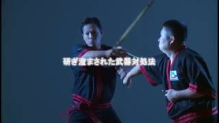 【ロメオ・バラレス】かっこいい！　超速のアーニス（カリ） Filipino Martial Arts ARNIS