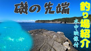 【釣り場紹介】和歌山県 白浜町 笠甫漁港【犬戻り】グレ、アオリイカ等が釣れるポイント　水中映像有り