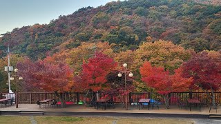 피아골 피정의 집 테라스  단풍으로 수를 놓았슴다 1103