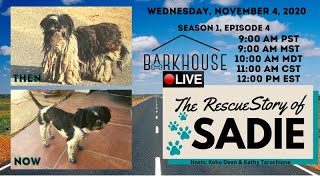 Barkhouse LIVE; Season 1, Episode 4- The Rescue Story of Sadie