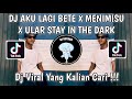 DJ AKU LAGI BETE X MENIMISU X ULAR STAY IN THE DARK RENZ REMIXER SOUND ELY SYAHREZA VIRAL TIK TOK!