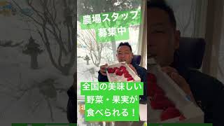 求人募集\\農園スタッフ/時給/住み込み可/パート/アルバイト：北海道富良野 寺坂農園　#shorts