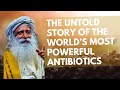 #Sadhguru #The World’s Most Powerful Antibiotics