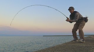 【エギング】活性が良ければおじさんでもアオリイカが釣れる！ 鹿児島 イカ釣り