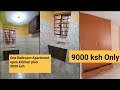 (9000 ksh) One  Bedroom Apartment Tour/Cost Of Living In Nairobi,Kenya.