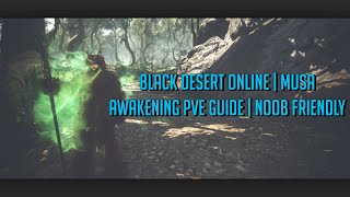 Black Desert Online | MUSA AWAKENING PVE GUIDE | Noob Friendly! | Low-tier/High-tier