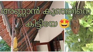 ഞങ്ങളുടെ വീട്ടിലെത്തിയ പുതിയ അതിഥിയെ കണ്ടാലോ